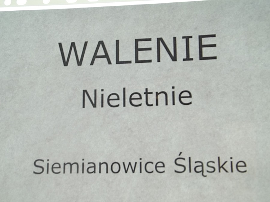 Hokej pod wodą Walenie Siemianowice Śląskie Wrocław 2014